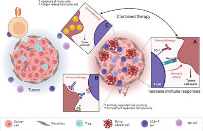 Can immunotherapy reinforce chemotherapy efficacy? a new perspective on colorectal cancer treatment